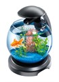 Tetra Cascade Globe 6,8 л - круглый аквариум с фильтром 211827 - фото 21817 Tetra Cascade Globe 6,8 л - круглый аквариум с фильтром 211827 - фото 21817