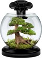 Tetra Cascade Globe Duo Waterfall (черный) 6,8л круглый аквариум с LED светильником Tet-279827 - фото 21844 Tetra Cascade Globe Duo Waterfall (черный) 6,8л круглый аквариум с LED светильником Tet-279827 - фото 21844