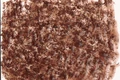 Tetra Fresh Delica Bloodworms - мотыль  48 г - корм-лакомство для рыб Tet-768741