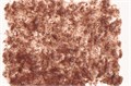 Tetra Fresh Delica Brine Shrimps - артемия 48 г - корм-лакомство для рыб Tet-768673 - фото 22126