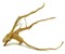 Udeco desert Driftwood XXL - коряга для оформления аквариума, 40-70 см - фото 23267