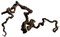 Коряга - Комель виноградной лозы (ориентировочные размеры - 40-60 х 40-60 х 40-60) - фото 23509