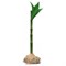 Tetra Бамбук S (15 см) - декоративное искусственное растение - фото 24688