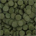 sera Spirulina Tabs Nature 24  таблетки - корм со спирулиной S0920 - фото 25005
