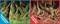 Фон двусторонний 60x30см с одной самоклеящейся стороной Корни со мхом/Корни с листьями (СК) - фото 25302