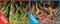 Фон двусторонний 60x30см с одной самоклеящейся стороной Корни со мхом (СК)/Корни с листьями - фото 25303
