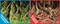 Фон двусторонний 100x50см с одной самоклеящейся стороной Корни со мхом/Корни с листьями (СК) - фото 25304