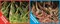 Фон двусторонний 100x50см с одной самоклеящейся стороной Корни со мхом (СК) /Корни с листьями - фото 25305