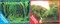 Фон двусторонний 60x30см с одной самоклеящейся стороной Коряги с растениями/Растительные холмы (СК) - фото 25306