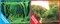 Фон двусторонний 100x50см с одной самоклеящейся стороной Коряги с растениями/Растительные холмы (СК) - фото 25307