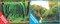 Фон двусторонний 100x50см с одной самоклеящейся стороной Коряги с растениями (СК)/Растительные холмы - фото 25308