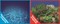 Фон двусторонний 60x30см с одной самоклеящейся стороной Синее море/Растительный пейзаж (СК) - фото 25316