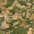 sera Vipan Nature 10 л (ведро) - универсальный корм для аквариумных рыбок (крупные хлопья) S32287
