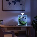 AQUAEL Shrimp set Smart LED Day/Night 10 л - аквариум с набором оборудования, белый 122977