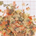 JBL Gala 250 мл. (30 г.) - Новый сновной корм класса премиум в форме хлопьев для профессионалов 282.4043100 - фото 26594 JBL Gala 250 мл. (30 г.) - Новый сновной корм класса премиум в форме хлопьев для профессионалов 282.4043100 - фото 26594