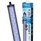 Aquatlantis Easy LED Marine Blue 1200 мм, 62 Вт, 25000 К 10217 - фото 27232
