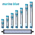 Aquatlantis Easy LED Marine Blue 1200 мм, 62 Вт, 25000 К 10217
