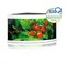 Juwel TRIGON 350 LED аквариум 350л белый (White) 123х87х65см 2х12W/2х23W Фильтр Bioflow XL, нагреватель 300 Вт - фото 27249