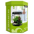 AQUAELl Hexa Set II - 60 литров (LED) - шестиугольный аквариум 124299 - фото 27758
