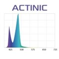 AQUAEL RETRO FIT Actinic 10 Вт (20000 K / T8 18 Вт, T5 24 Вт) - модуль для установки в крепления для люминесцентных ламп, для морского аквариума 114577 - фото 27760