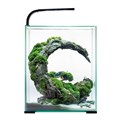 AQUAEL Shrimp set Smart LED Day/Night 30 л - аквариум с набором оборудования, черный 122980 - фото 28862
