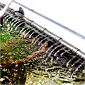 AQUAEL Hypermax-4500 - внешний фильтр с электронным управлением для аквариумов 200-1200 литров, макс.4500 л/ч 130349 - фото 31346 AQUAEL Hypermax-4500 - внешний фильтр с электронным управлением для аквариумов 200-1200 литров, макс.4500 л/ч 130349 - фото 31346