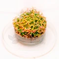 Ammannia gracilis (Амманния изящная) - меристемное растение для аквариума 821.421.1.11
