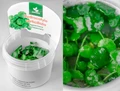 Hydrocotyle verticillata (Гидрокотила вертикальная) - меристемное растение для аквариума 821.361.1.11
