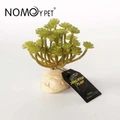 Искусственное растение Nomoy Pet "Эониум", 11 см NMP-NFF-39