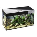AQUAEL Glossy ST 150 (405л) аквариум с LED освещением Day&Night 132491 - фото 32752 AQUAEL Glossy ST 150 (405л) аквариум с LED освещением Day&Night 132491 - фото 32752