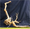 Коряга-эксклюзив Сакура (40-60 см) M №2 - на фото актуальная коряга, существует в единственном экземпляре PR-222490-2 - фото 33541