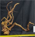 Коряга-эксклюзив Сакура (40-60 см) M №7 - на фото актуальная коряга, существует в единственном экземпляре PR-222490-7 - фото 33558