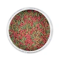 Anubias Tricolor Koi Opti Sticks - корм для кои и других прудовых рыб, палочки 9х2мм, 1000мл (400г) AN-088443