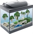 Tetra Starter Line LED Cray аквариумный комплекс 30 л (чёрный) Tet-305625