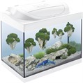 Tetra Starter Line LED Cray аквариумный комплекс 30 л (белый) Tet-319691