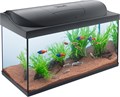 Tetra Starter Line LED аквариумный комплекс 105 л (чёрный) Tet-305656
