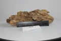 Камень "Дракон" М №4- на фото - именно тот камень, который вы получите PR-222551-4