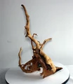 Коряга-эксклюзив Сакура (60x40x43 см) M №5 - на фото актуальная коряга, существует в единственном экземпляре PR-222490-5