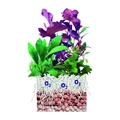 sera Professional Flore ground 2 л S3386