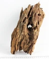 Коряга-эксклюзив Дракон S №5 PR-080188-5