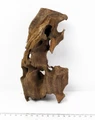 Коряга-эксклюзив Дракон S №18 PR-080188-18