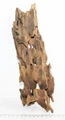 Коряга-эксклюзив Дракон S №21 PR-080188-21