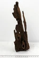Коряга-эксклюзив Дракон S №23 PR-080188-23