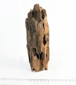 Коряга-эксклюзив Дракон S №25 PR-080188-25